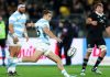 los pumas
