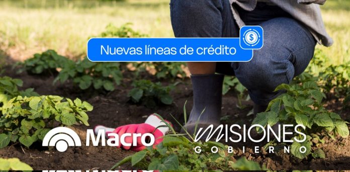 nueva línea de créditos para pymes (3)