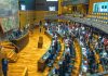 parlamento estudiantil