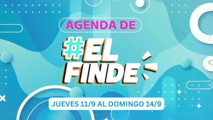 ElFinde (2)