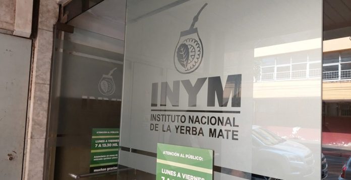 Yerba mate