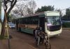 Situación del transporte en Eldorado