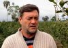 Cacho Bárbaro
