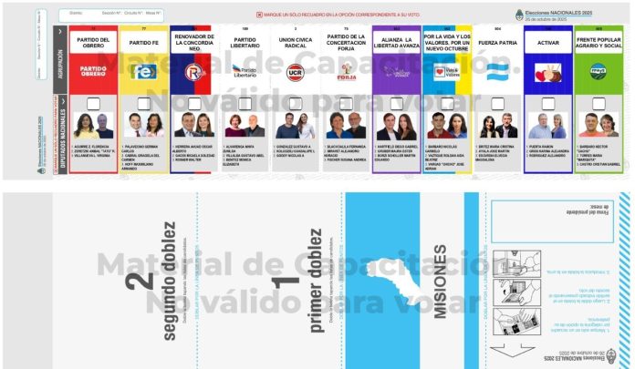 elecciones 2025