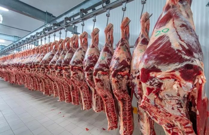 carne vacuna
