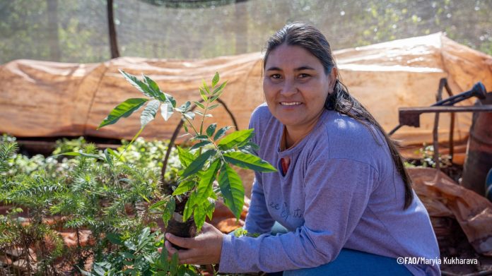 Parlamento de la Mujer - Mujeres Rurales Misiones Pago Redd