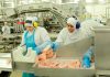 Peligra el empleo en la mayor empresa avícola del país
