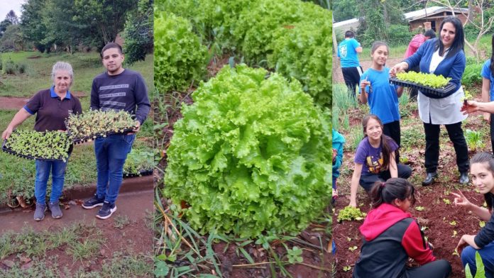 Programa Huertas Escolares de Eldorado