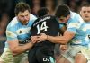 los pumas