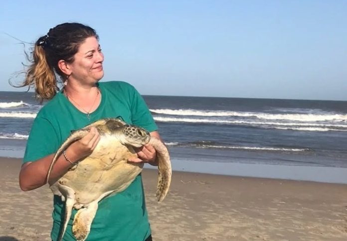 Veterinaria radicada en Misiones viaja a Uruguay para rescatar tortugas marinas