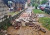 Siete familias fueron asistidas en Posadas tras la tormenta