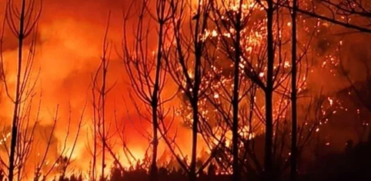 Incendios en Chubut