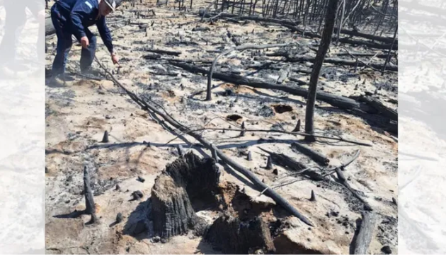 Incendios en Chubut