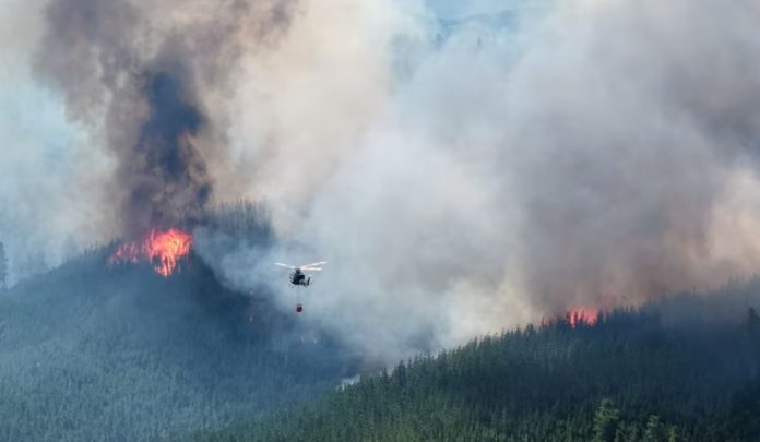 Incendios en Chubut