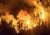 El fuego no da tregua en la Patagonia