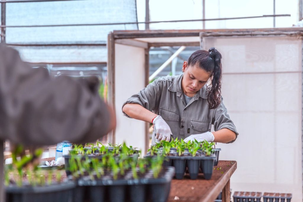 Día de la Mujer y la Niña en la Ciencia