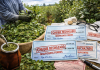 cheques rechazados