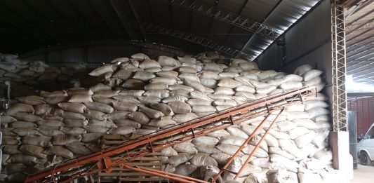 ventas de yerba mate