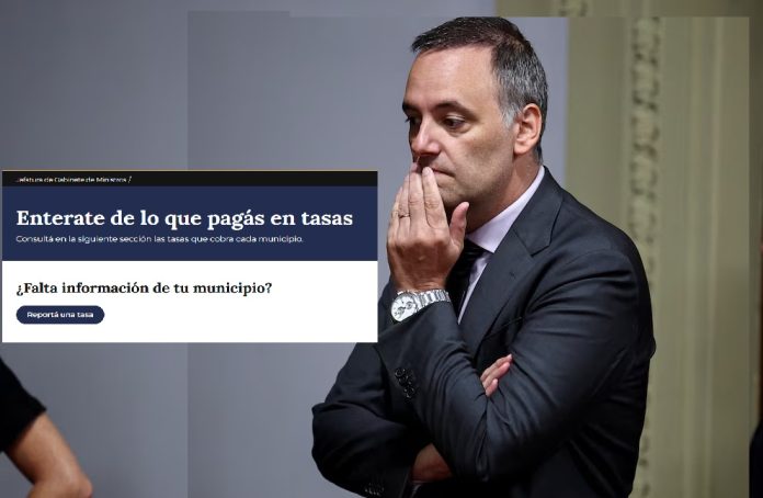 adorni tasas