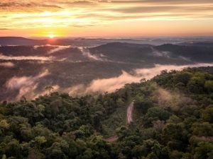 Misiones busca blindar su selva con un escudo satelital de avanzada imagen-6