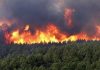 Misiones sigue en riesgo extremo de incendios