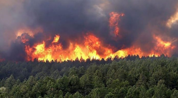 Misiones sigue en riesgo extremo de incendios