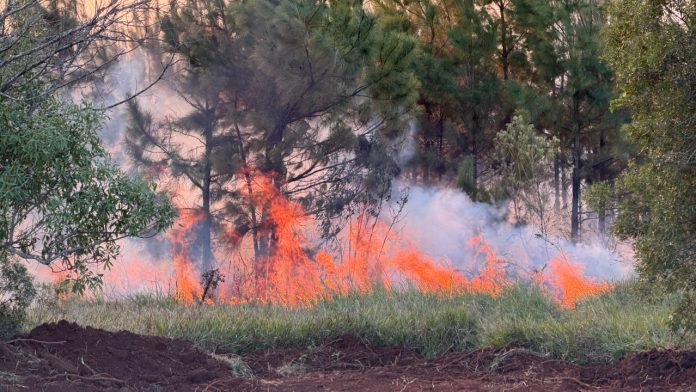 Incendio Posadas - Itaembe Guazú RN12 (10)