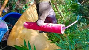 Guardaparques de Misiones desmantelan campamentos ilegales y encuentran dinamita en la selva de Yabotí