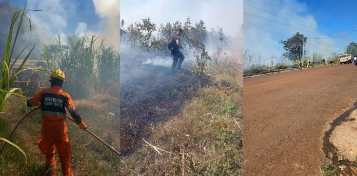 sofocaron incendios de malezas y plantaciones