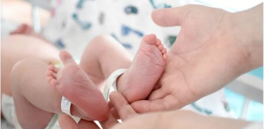natalidad cayó un 38% en la última década en Misiones