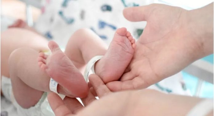 natalidad cayó un 38% en la última década en Misiones