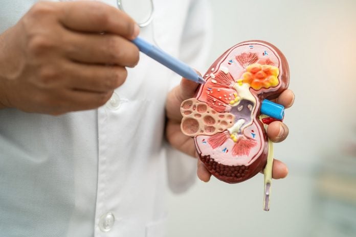 Salud renal