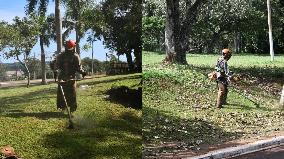 Eldorado impulsa la reposición de árboles y mejora espacios públicos