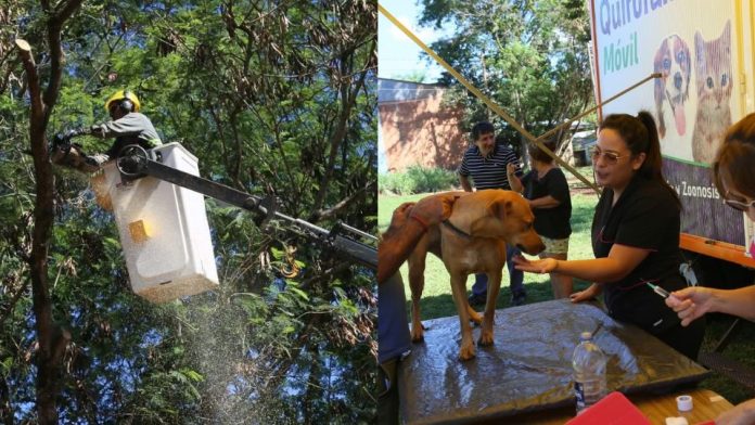 Eldorado llevó adelante un operativo ambiental de alto impacto en el barrio Gürtner Eldorado llevó adelante un operativo ambiental de alto impacto en el barrio Gürtner