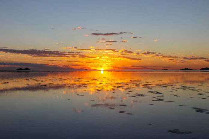 Esteros del Iberá