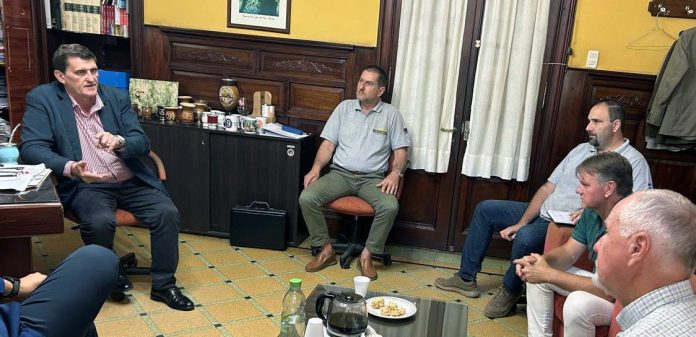 Mandioca 360 Misiones activa “Mandioca 360” con créditos de hasta $800 millones para sostener la industria de la fécula