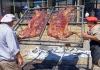 Eldorado será sede del 2° Festival del Búfalo Misionero