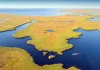 Esteros del Iberá