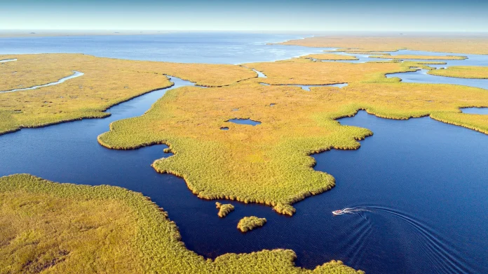 esteros-del-ibera-corrientes Esteros del Iberá