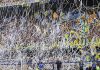 Boca