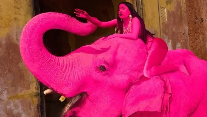 pintó de rosa a una elefanta para una producción y el animal murió