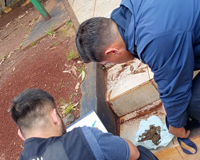 operativo antinarcoticos