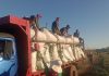 Productores yerbateros
