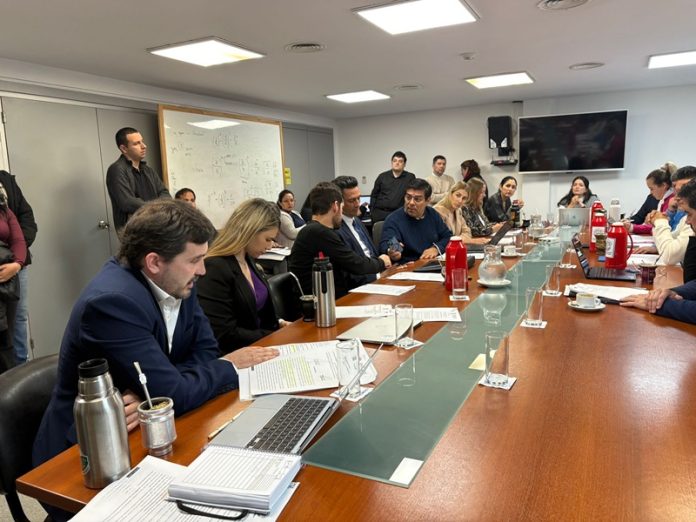 Comision de Asuntos Consitucionales