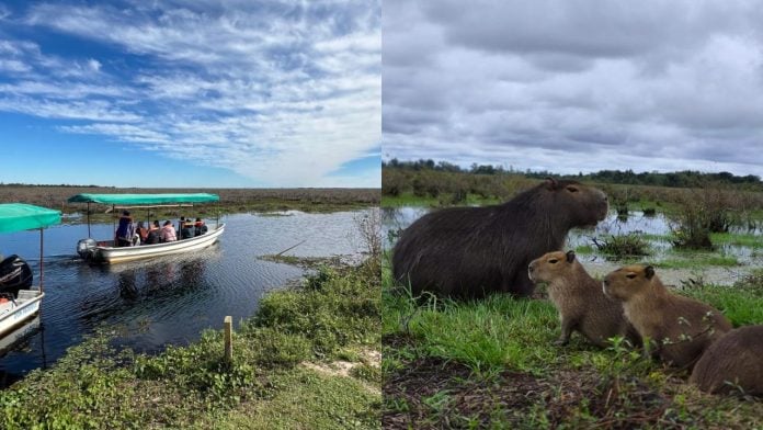 Portada Esteros Esteros del Iberá