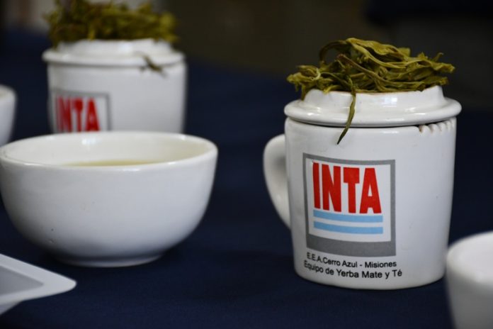 Taza cata té