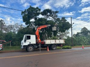 Energía de Misiones continua con el operativo integral de mantenimiento preventivo en Posadas imagen-5