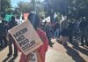 Aseguran que la oferta salarial de Nación “es casi un 50% menor a lo que establece la Ley de Financiamiento Universitario”