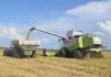 “El Niño” tendrá fuerte impacto sobre el arroz y otros cultivos en Corrientes, a partir de septiembre