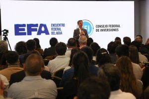 El CFI avanza en una agenda federal del agua: provincias y especialistas definieron una hoja de ruta para garantizar seguridad hídrica y desarrollo sostenible imagen-5